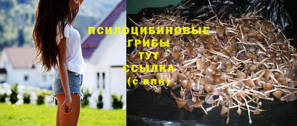 соль курить ск Гатчина
