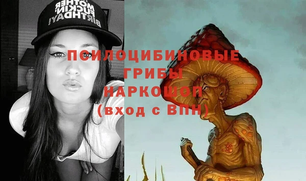 дурь Арсеньев