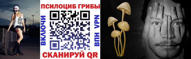 где купить наркотик  Афипский  Псилоцибиновые грибы Magic Shrooms 